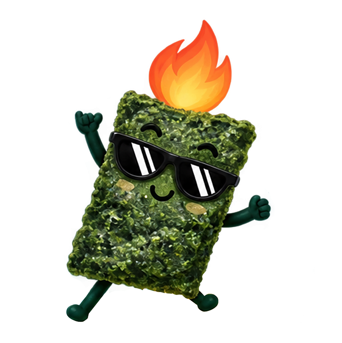 狂野海苔